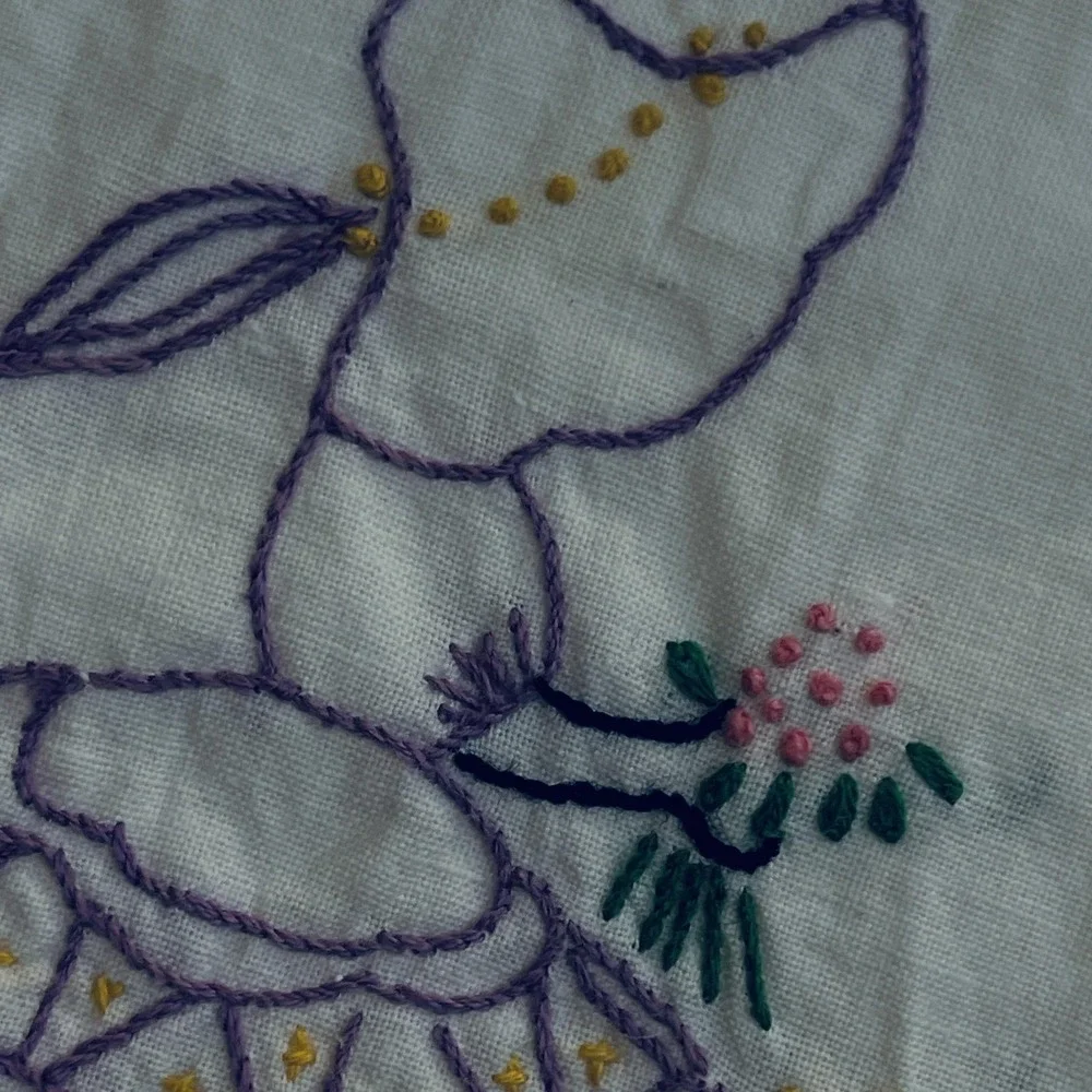 Vintage Embroidered Southern Belle Queen Pillowcases Pair Crochet Cottage‎ White
